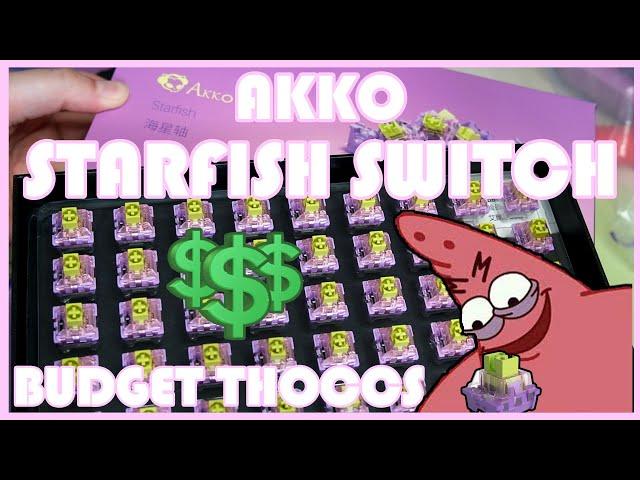 AKKO STARFISH - LIMITED EDITION BUDGET THOCC - [Sound test + Review]