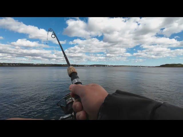 Fishing at Halifax Waterfront, Nova Scotia