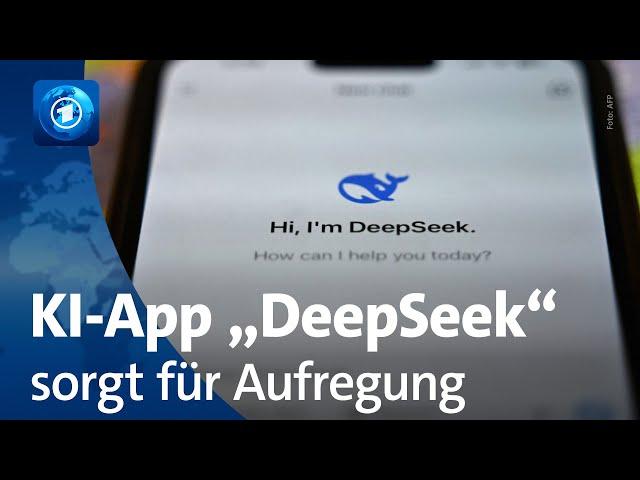 KI-Programm „DeepSeek“ aus China erschüttert Technologie-Markt