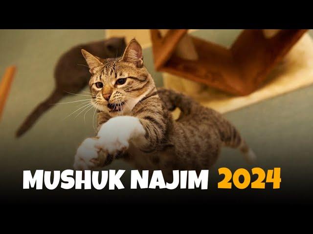 MUSHUK NAJIM 2024 | NAJIMGA NIMA BOLDI