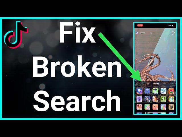 How To Fix Can't Search On TikTok