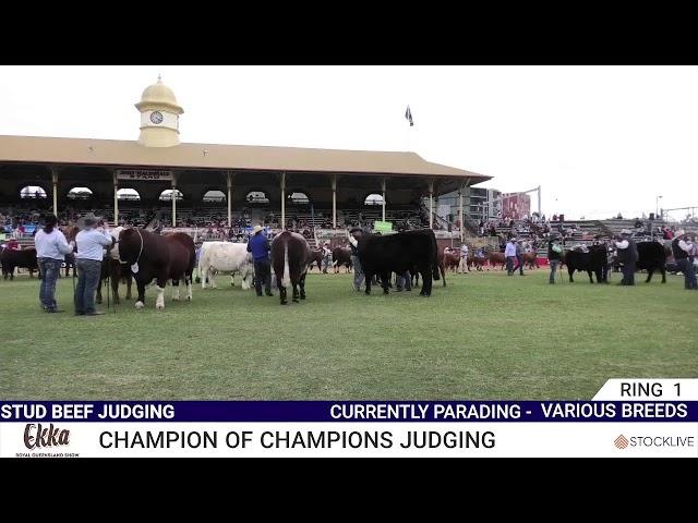 Ekka 2024 Parade of Champions