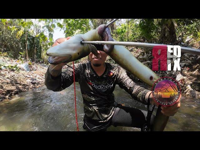 SE04EP121 Part 1 - BINULAGA Kame ng PALOS! SpearFishing San Pablo City, Laguna