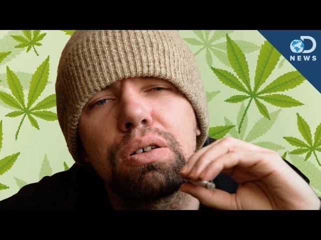 Why Weed Makes You Lazy