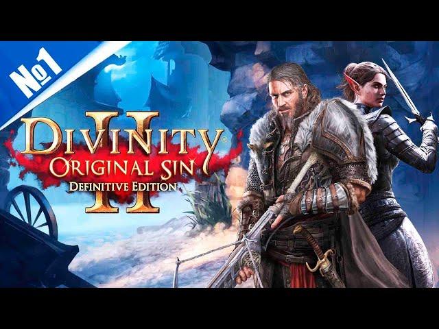 Одна из лучших Divinity: Original Sin 2 с русской озвучкой