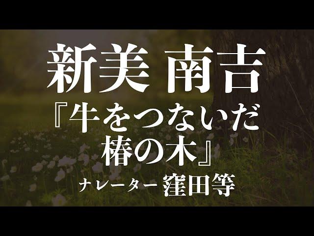 『牛をつないだ椿の木』作：新美南吉　朗読：窪田等　作業用BGMや睡眠導入 おやすみ前 教養にも 本好き 青空文庫