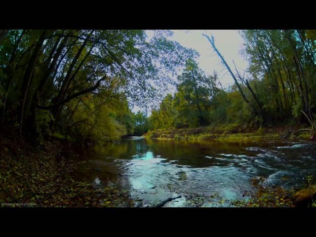 4h video in 4k relax session - gentle sound of river, beginning of autumn