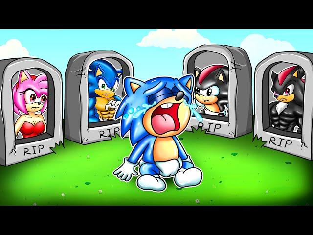 R.I.P ALL - BABY SONIC SAY GOOD BYE FAMILY! - Sonic the Hedgehog 2 - SG Cartoons