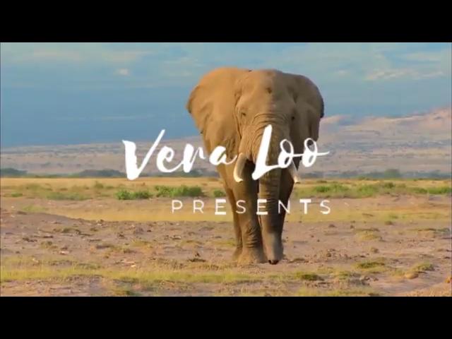 Vera Loo Presents: Spring in Africa