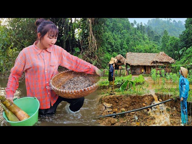 Heavy rain washed everything away - Collapsed in the night | cleaning up with grandpa | Ly Phuc Binh