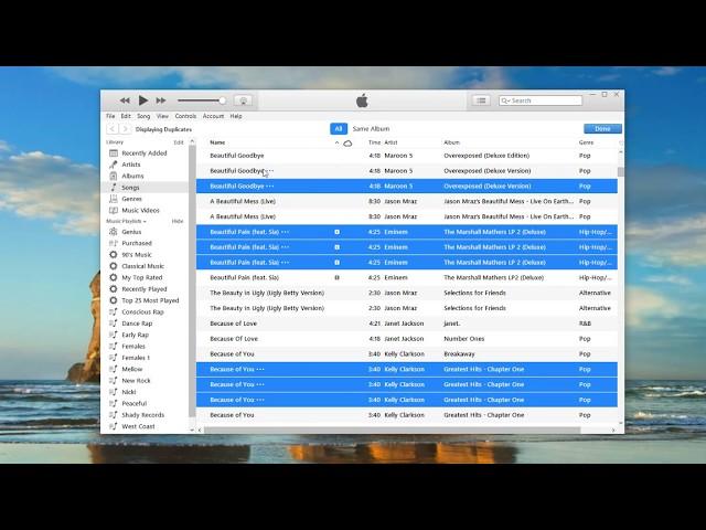 How To Remove Duplicate Files in iTunes - TechSpective Episode 041