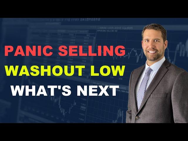 Panic Selling, Washout Low, And What's Next