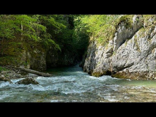 Erlauf: Erlaufbodentől a kienbergi erőműig