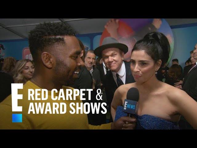 Sarah Silverman & More Stars Tell How They'd Break the Internet | E! Red Carpet & Award Shows