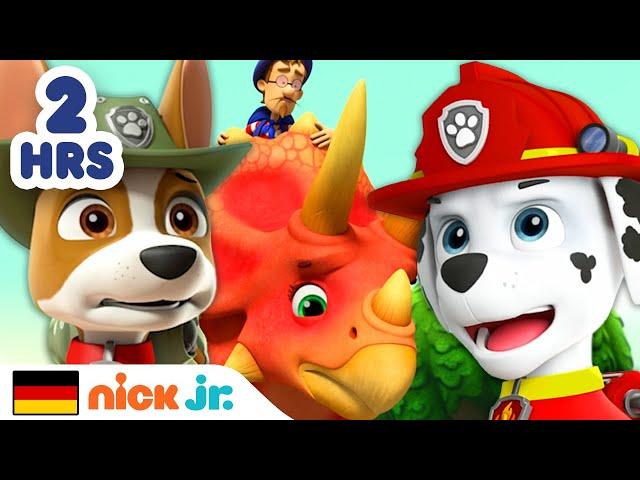 PAW Patrol | Abenteuer mit Tieren – 2 Stunden lang! | Nick Jr. Deutschland