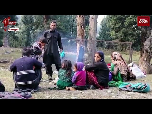 Why Political Parties In Jammu & Kashmir Try To Woo Gujjar-Bakarwal Tribes?