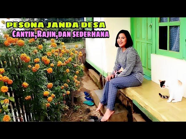 WAH SERU,JUMPA TEH ERNA JANDA DESA CANTIK,SAMBIL MENIKMATI SUASANA ALAM PEDESAAN KAMPUNG 14 TEPAS