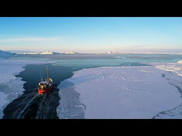 Arctic Christmas Odyssey: From Gold Rush Towns to Frozen Wilderness