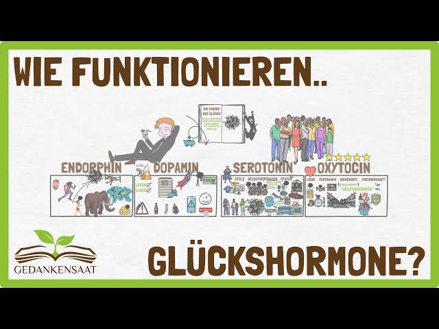 Wie werden Glückshormone ausgeschüttet? Dopamin, Oxytocin & Co. einfach erklärt.