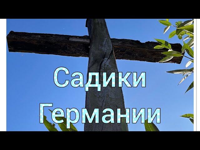 Чем же отличаются немецкие детские садики от советских!!!