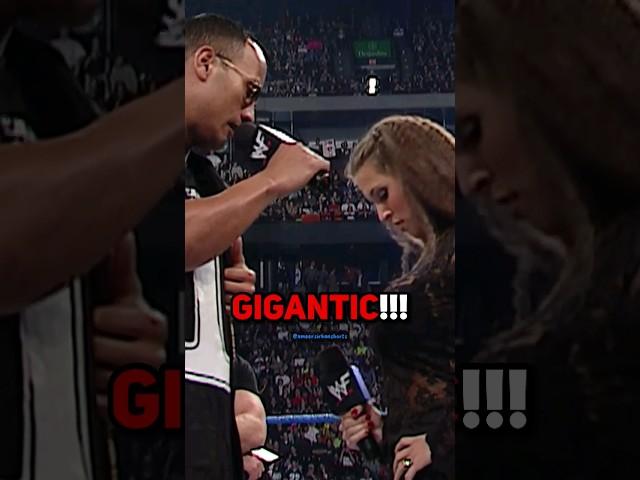 The Rock and Chris Jericho DESTROY Stephanie #therock #stonecold #tripleh #ufc #wwe #jre #joerogan