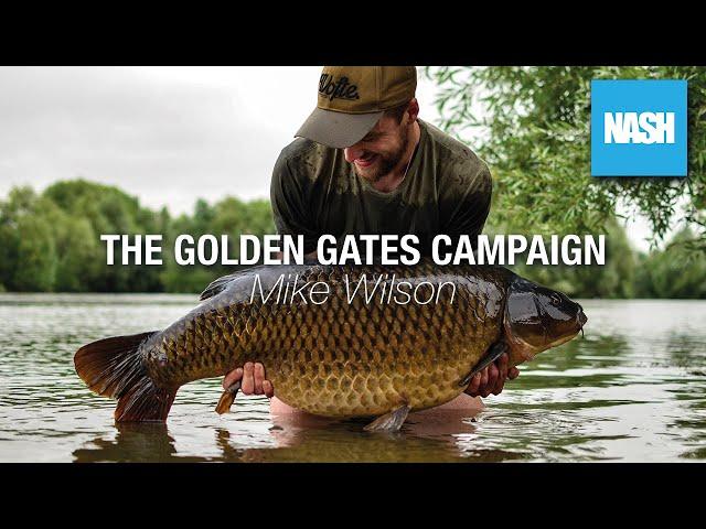 Mike Wilson - The Golden Gates Campaign