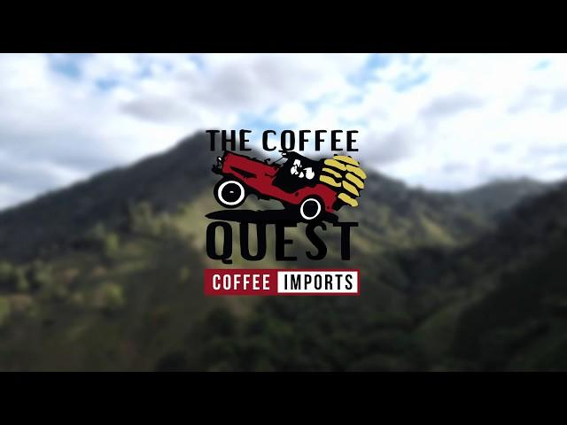 The Coffee Quest Supply Chain