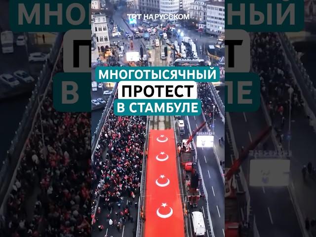 Сотни тысяч вышли в Новый год на митинг солидарности с Газой