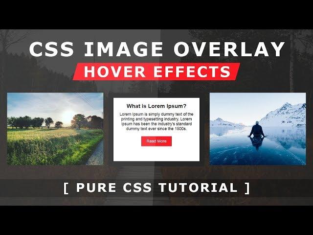 Css Image Overlay Hover Effects - Pure Css Tutorial  - How To Create Image Hover Overlay Effects