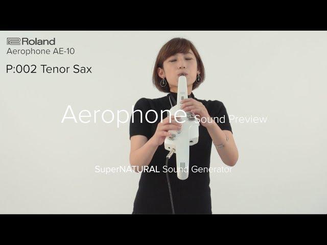 Roland Aerophone AE-10 Sound Preview