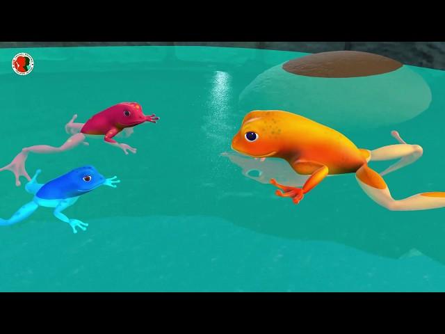 బావిలో కప్పలు నీతి కథ || The frog in the well Telugu moral stories || 3D animated fairy tales