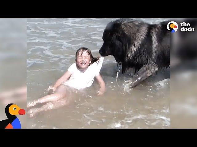 Dog 'Saves' His Little Girl From The Ocean | The Dodo