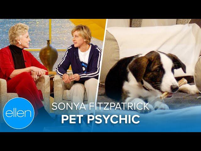 Pet Psychic Sonya Fitzpatrick Reads Ellen’s Dog