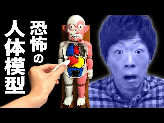 【恐怖】暴れだす人体模型 VS セイキン