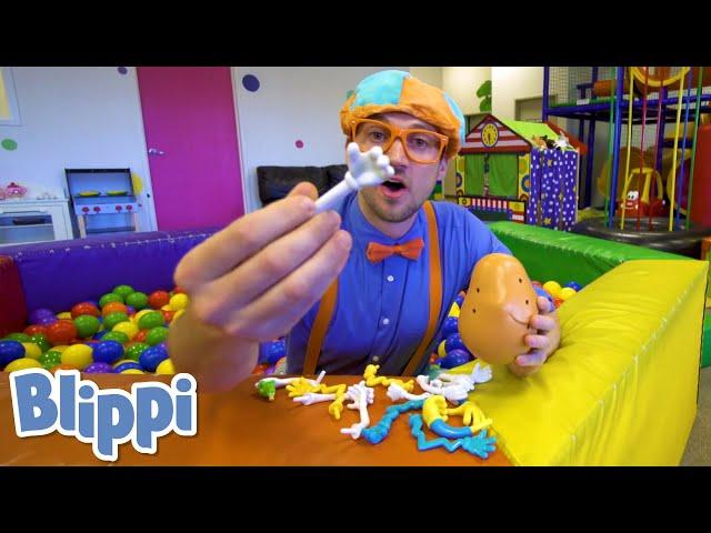 Blippi Learns Human Body Parts At A Fun Indoor Playground! | Educational Videos for Toddlers