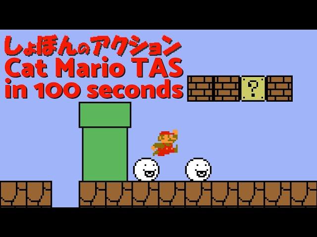 Cat Mario completed by a robot in 100 seconds 