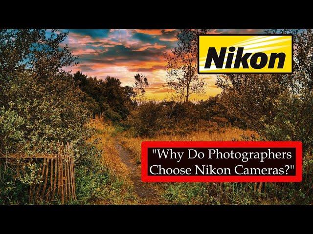 Why Nikon Cameras | Are the Best Choice for Photographers | Class 451