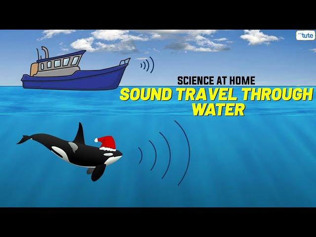 How Does Sound Travel through Water? | Easy Science Experiment | #science #scienceproject