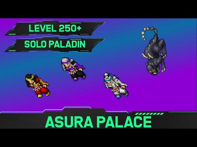 Asura Palace - Solo Paladin Hunt [250+]