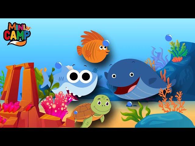 Baby Shark and Friends Swimming In The Hot Summer | Compilation Kids Song  | Mini Camp