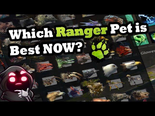 Which Ranger Pet is Best NOW? - Guild Wars 2