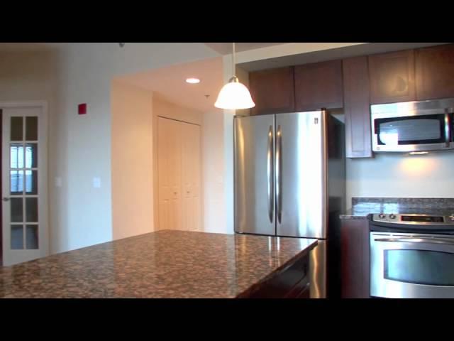 Ann Arbor Penthouse for Sale: 111 Ashley 1008, Ann Arbor