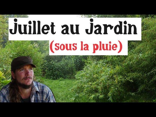 Juillet au jardin (sous la pluie)