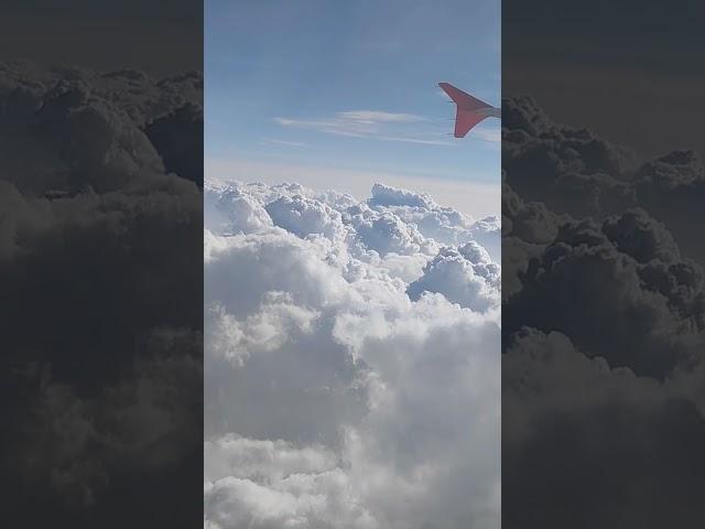 In the air/@TCF Prateek Malik#trendingshorts #viralvideo