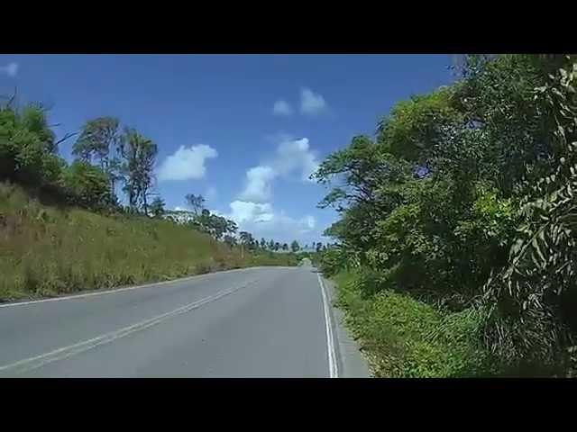 Honda CBR Fly by