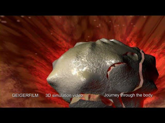 Journey through the human body  - Reise durch den Körper - 3D Motion Ride Film