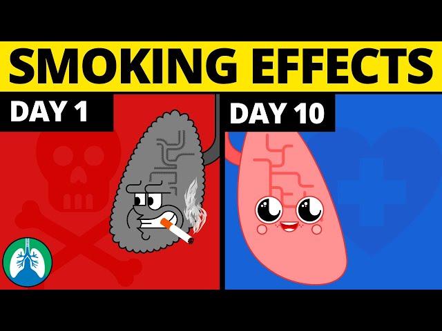 What Happens to Your Body When You Quit Smoking?