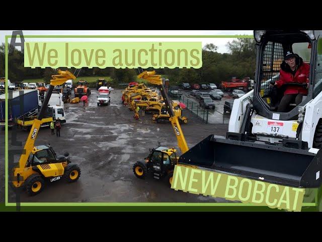 Calves to auction and bobcat at Williams auctions