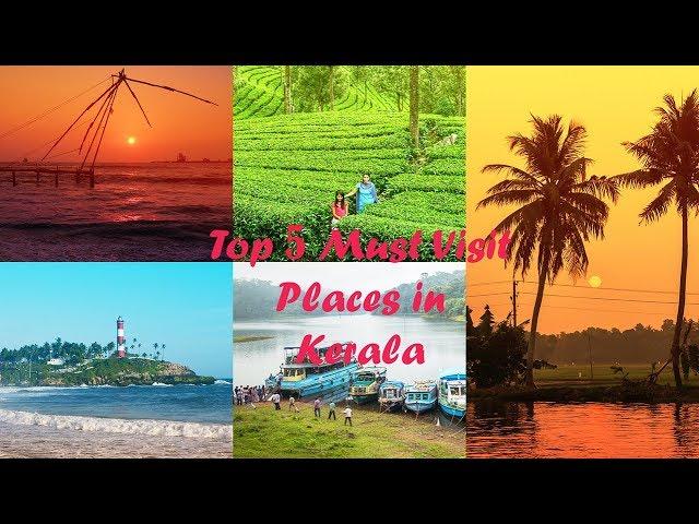 Top 5 Must Visit Places in Kerala India