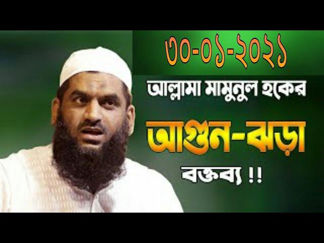 আল্লামা মামুনুল হক ৷ Allama Mamunul Haque New Waz 2021